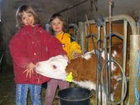 Ferienwohnungen Bayerischer Wald - kinderfreundlicher Urlaub