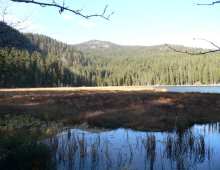 Naturdenkmal Grosser Arbersee Hochmoor