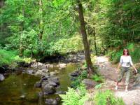 Wandern im Bayerischen Wald Wanderweg Buchberger Leite