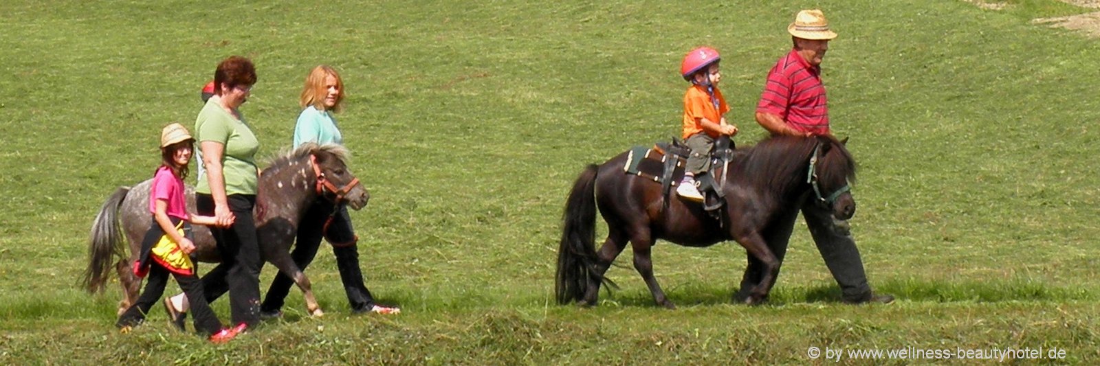 reiterferien-bayern-ponyreiten-bayerischer-wald